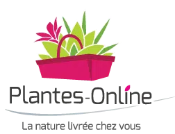 Logo Plantes Online