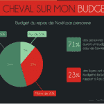 Budget pour DailyBreizh
