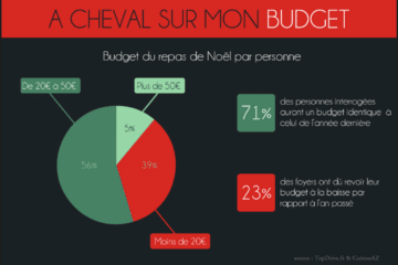 Budget pour DailyBreizh