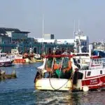 La Bretagne détient le premier port de pêche de France