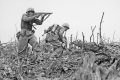 Quelles sont les véritables causes de la première guerre mondiale ?