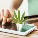 Où acheter du CBD sur Internet