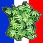 Comment puis-je obtenir du CBD en France ?