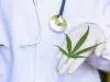 CBD et cellules cancéreuses