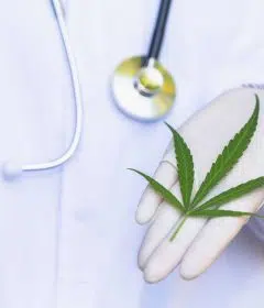 CBD et cellules cancéreuses