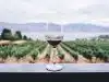 Quel vin servir avec un filet de veau ?