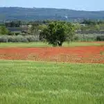 Les enjeux de l’hydrogéologie en région Manosque et les conseils d’AEHB