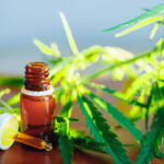 Comment profiter des bienfaits thérapeutiques du CBD à petit prix ?